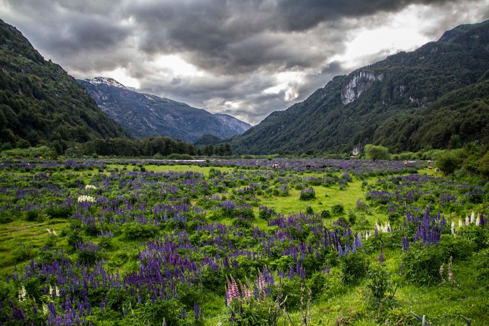 landscapes-from-patagoniajpg