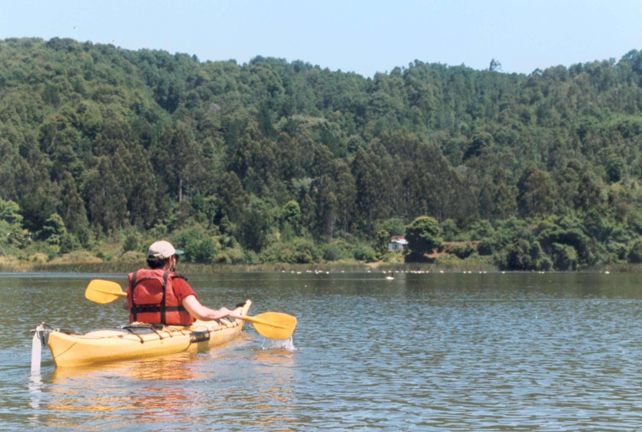 valdivia kayaking