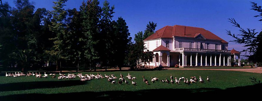 Conosur winery